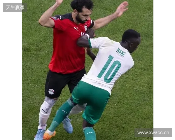 抽象！塞内加尔航空邀请此前激光笔干扰萨拉赫的球迷观赛