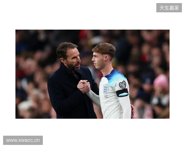 图赫尔谈10号位:一阶段考察帕尔默&福登;二阶段贝林&罗杰斯 图赫尔谈10号位:一阶段考察帕尔默&福登;二阶段贝林&罗杰斯